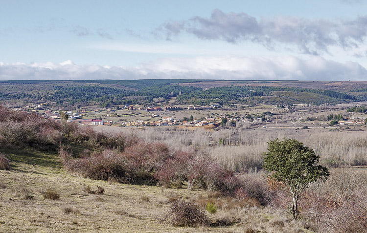 La vega del Bernesga. | VICENTE GARCÍA