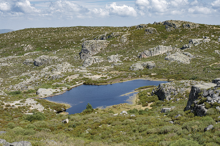 Vista de la laguna. | VICENTE GARCÍA