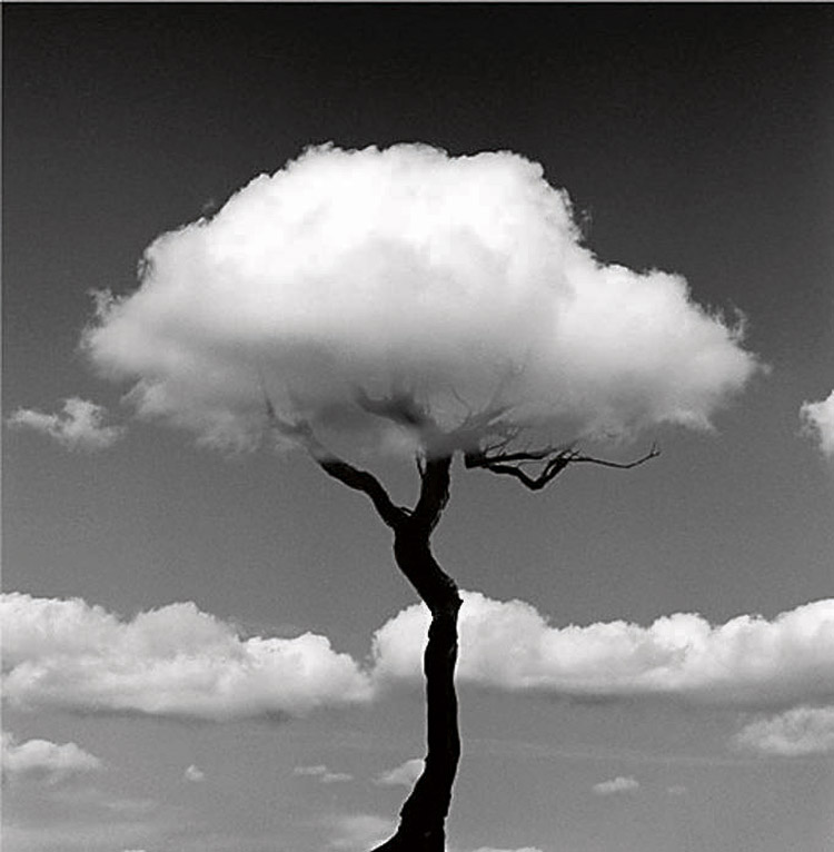 | CHEMA MADOZ