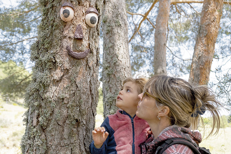 Bosques mágicos y personajes de cuento para asombro de los más pequeños se dan cita en algunas de las rutas propuestas. | VICENTE GARCÍA