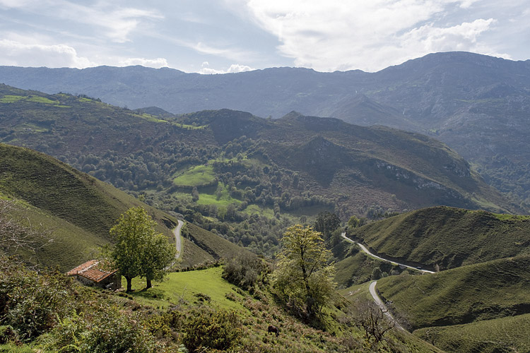 Vista hacia la Sierra de Cuera. | VICENTE GARCÍA