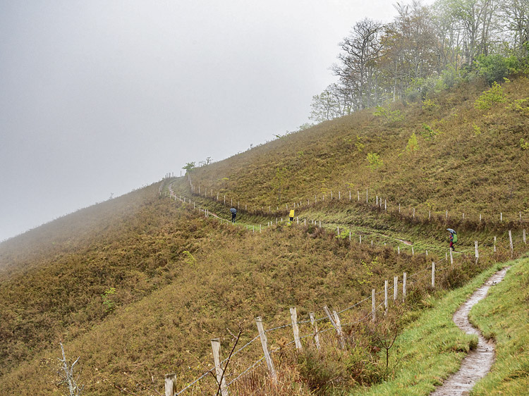 Subiendo por la ladera. | VICENTE GARCÍA