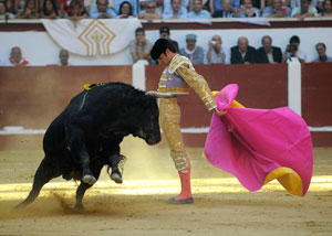 Imagen de José Tomás. | MAURICIO PEÑA