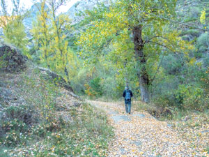 El camino al lado del arroyo Cabreros al final de la ruta. | VICENTE GARCÍA