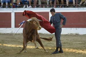 Javier Castaño cuajó una gran faena al segundo de su lote y le cortó las dos orejas y el rabo. | MAURICIO PEÑA