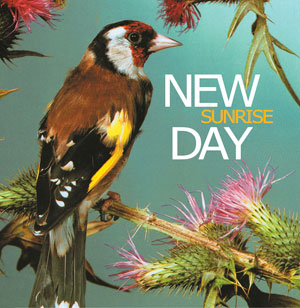 Portada del primer álbum de New Day.