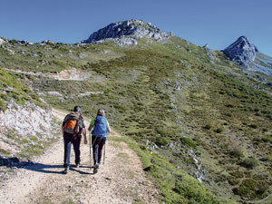 Camino de Wamba con el Pico los Fornos y la Peña del Viento al fondo. | VICENTE GARCÍA