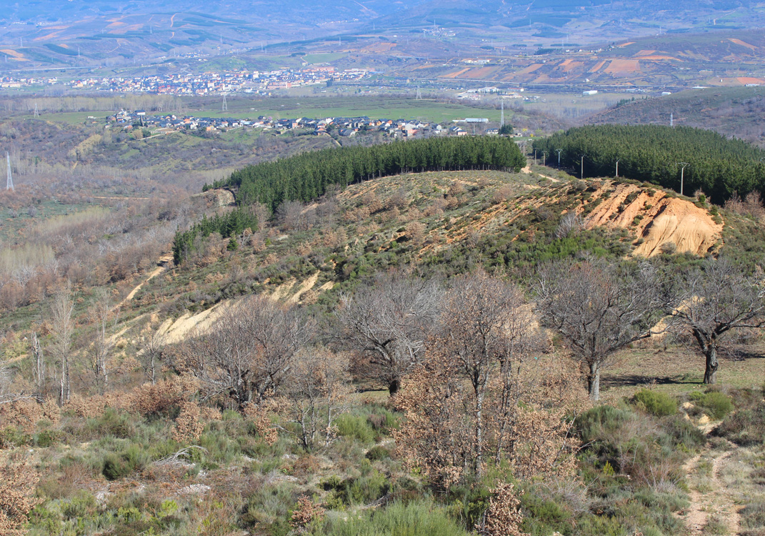 Mina de oro de Los Barrancones, en San Pedro Castañero.
