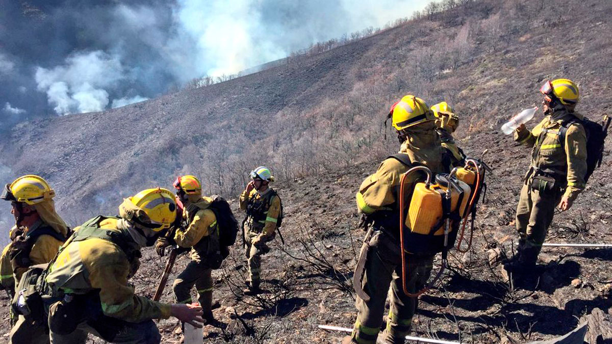 Operarios en el incendio de Anllarinos del Sil. | @BRIF TABUYO