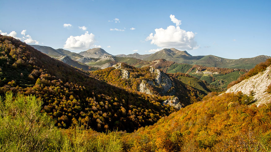 Imagen panorámica de La Cervatina. | Rutasleonesas.com