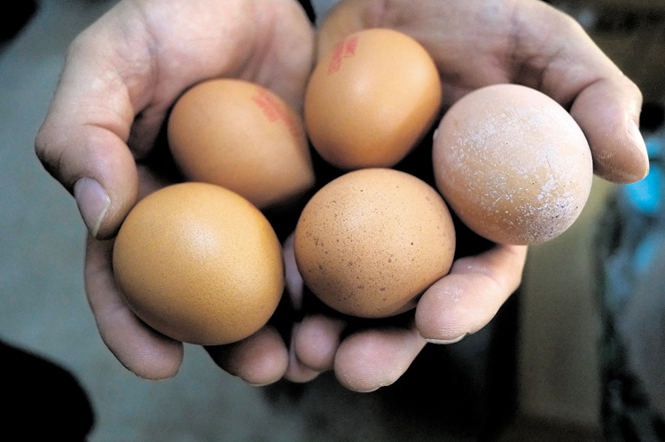Un sistema automatizado separa los huevos según su peso. | DANIEL MARTÍN