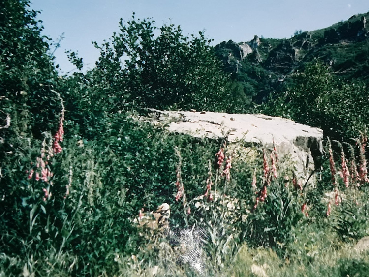 Peña de la Fortuna.