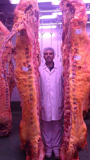 Aladino posa junto a la carne de buey que será repartida por los mejores restaurantes de España. | ICAL