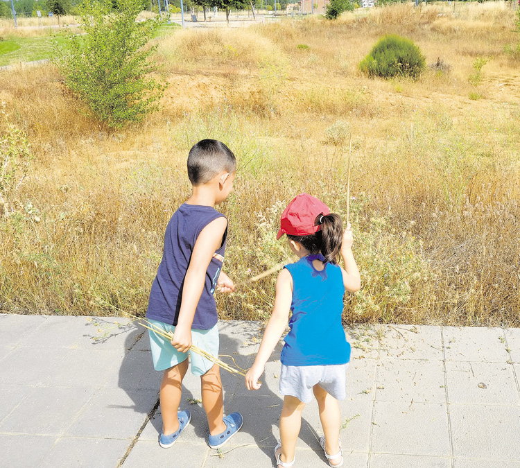 Dos niños jugando con la maleza que sobresale de un campo.| DANIEL MARTÍN